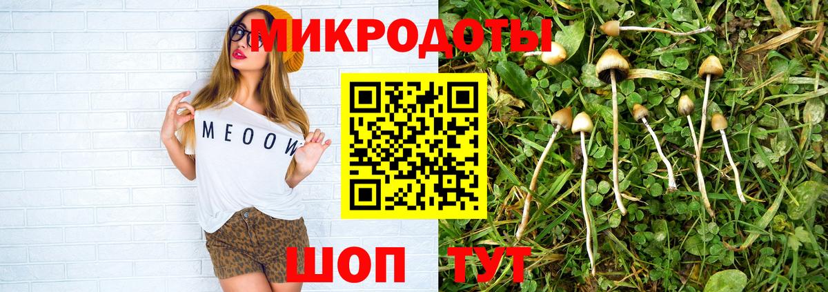 Псилоцибиновые грибы Cubensis  Галлюциногенные грибы прущие грибы  Ржев  Вход с VPN 