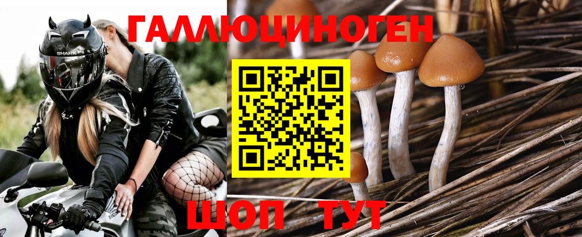 Галлюциногенные грибы прущие грибы Ржев